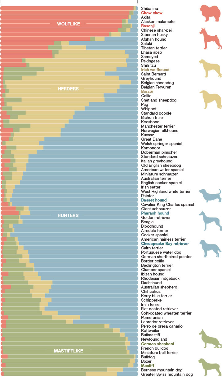 National DNA Study of Dogs